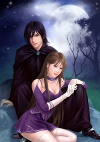 至尊女婿何金银江雪