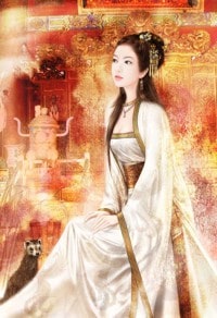 护花大宗师